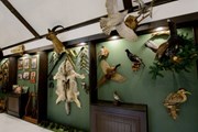 В Воронежской области появился Музей охоты